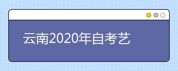 云南2020年自考艺术教育B（专升本）专业计划