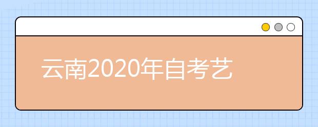 云南2020年自考艺术教育（专升本）专业计划