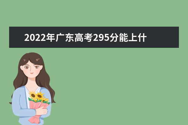 2022年广东高考295分能上什么大学？