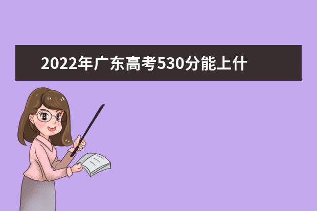 2022年广东高考530分能上什么大学？