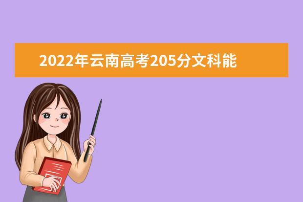 2022年云南高考205分文科能上什么好大学