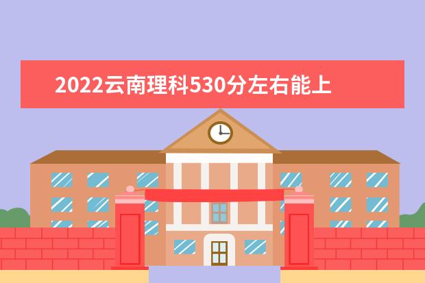 2022云南理科530分左右能上哪些大学？