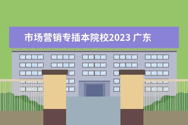 市场营销专插本院校2023 广东专插本市场营销分数线