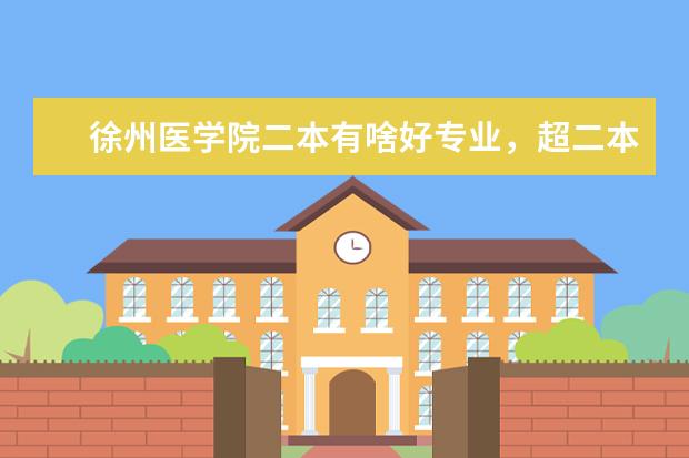 徐州医学院二本有啥好专业，超二本11分有学上吗？